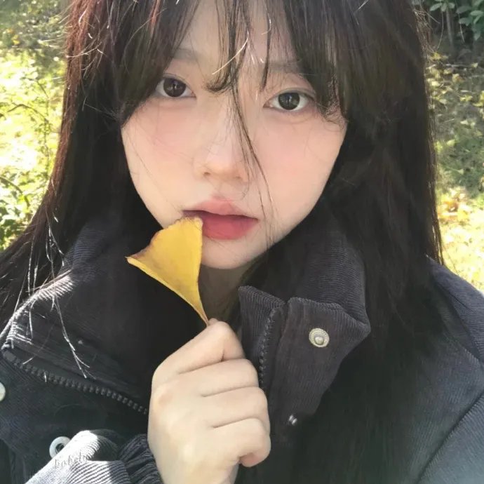 翡翠森林