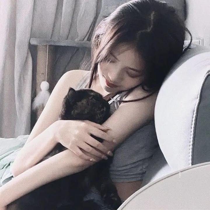 愤怒鸟玩电影3